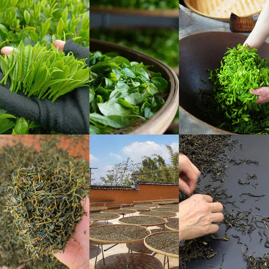 A Detailed Explanation of the Tea-making Process
