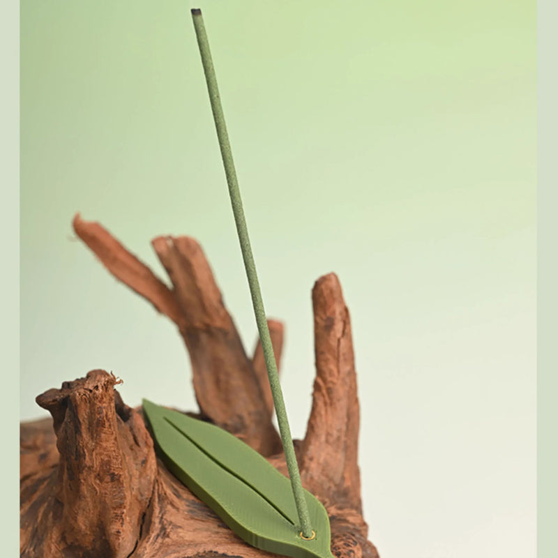 Natural Incense Sticks Evoking Memories of Hangzhou