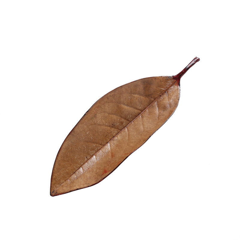 Da Qi Leaf Tea Scoop,fully demonstrate the beauty of nature and craftsmanship