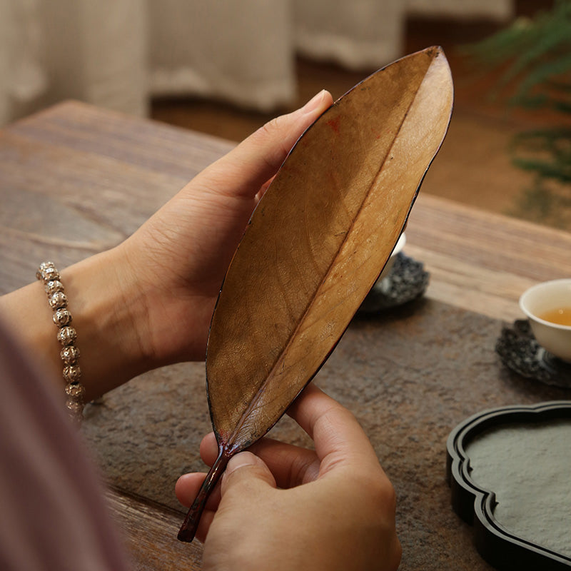 Da Qi Leaf Tea Scoop,fully demonstrate the beauty of nature and craftsmanship