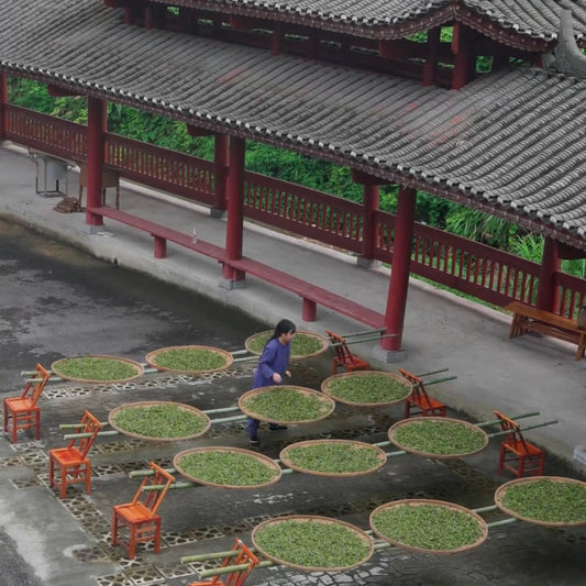What is the most popular Chinese tea?