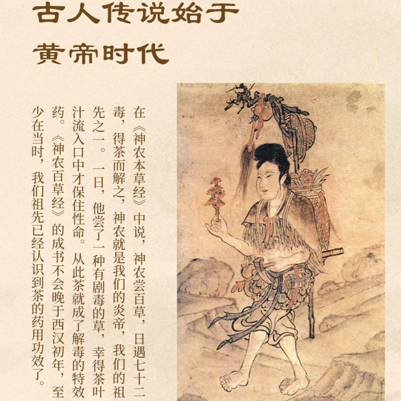 The Epic of Civilization on Tea Leaves