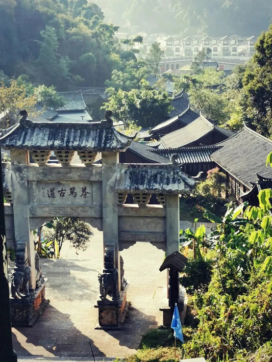 A Cup of Pu-erh Tea: Savoring the Essence of Time