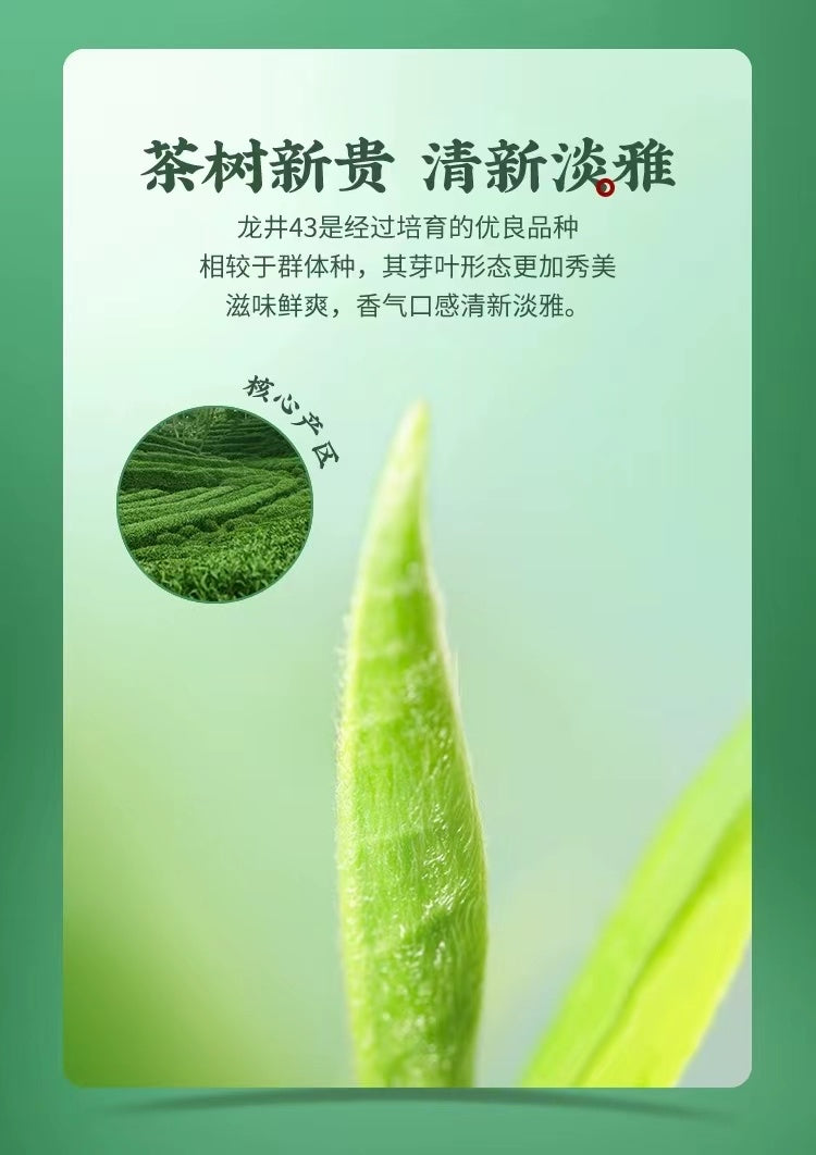 New 2025 Long Jing Green Tea first level for tea lovers 200g