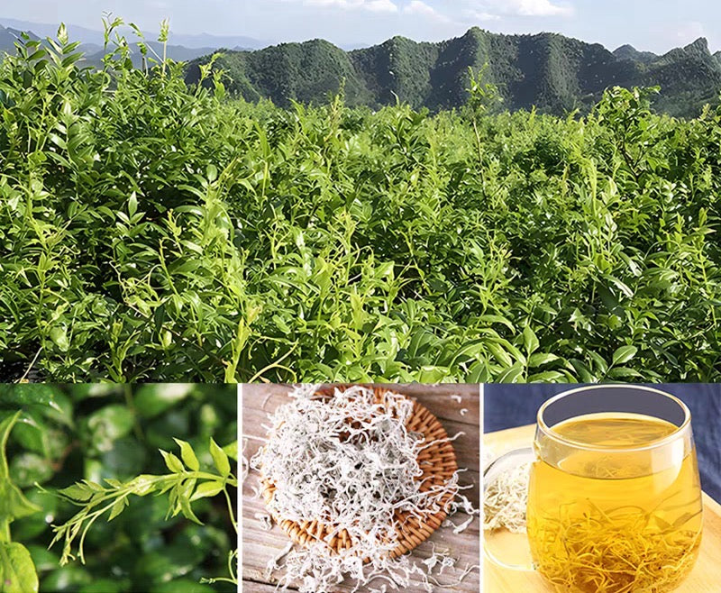 Zhangjiajie Longevity Village Meicha (Berry Tea) - Wild Vine Tea, Natural Flavonoid Elixir from Hunan—130g