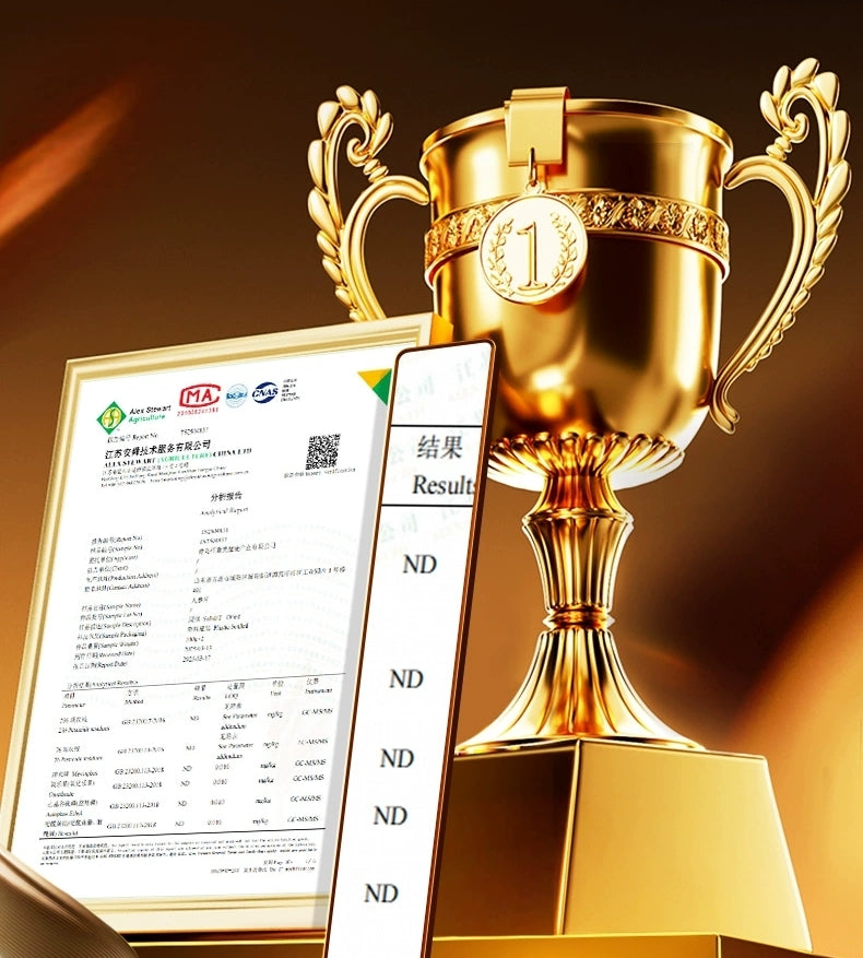 2-3CM Extra Large Changbai Mountain Ginseng Slices, sourced from the authentic Changbai Mountain origin—the famous "hometown of ginseng" in Northeast China-100g